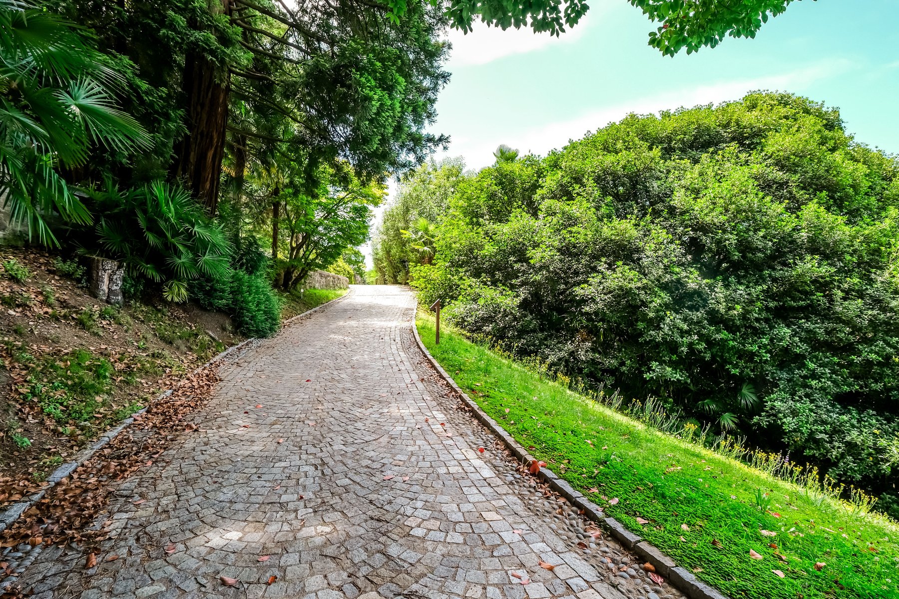 Il parco