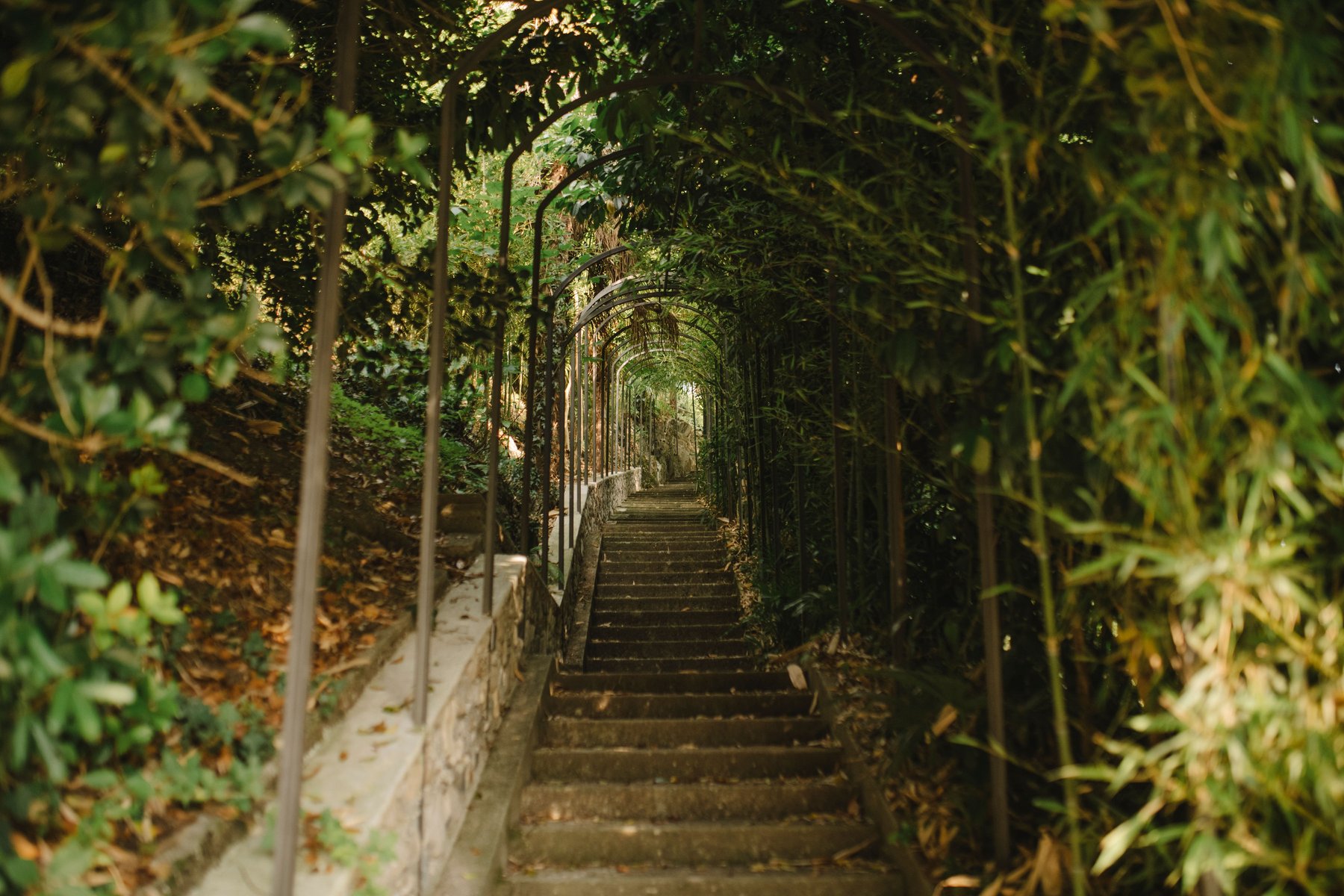 Il parco